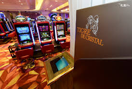 【Konibetが独占中？！】Cristal Tiger